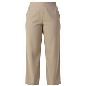 Nygard Collection Womens Beige Straight Leg Pants Size 22